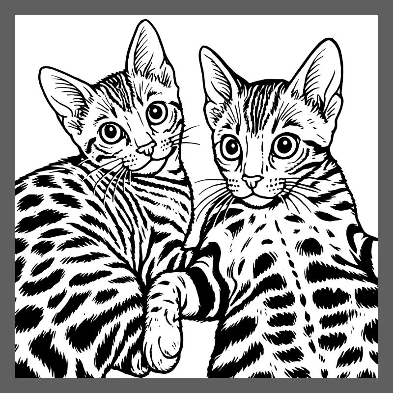 Dessin au trait Cat Duo