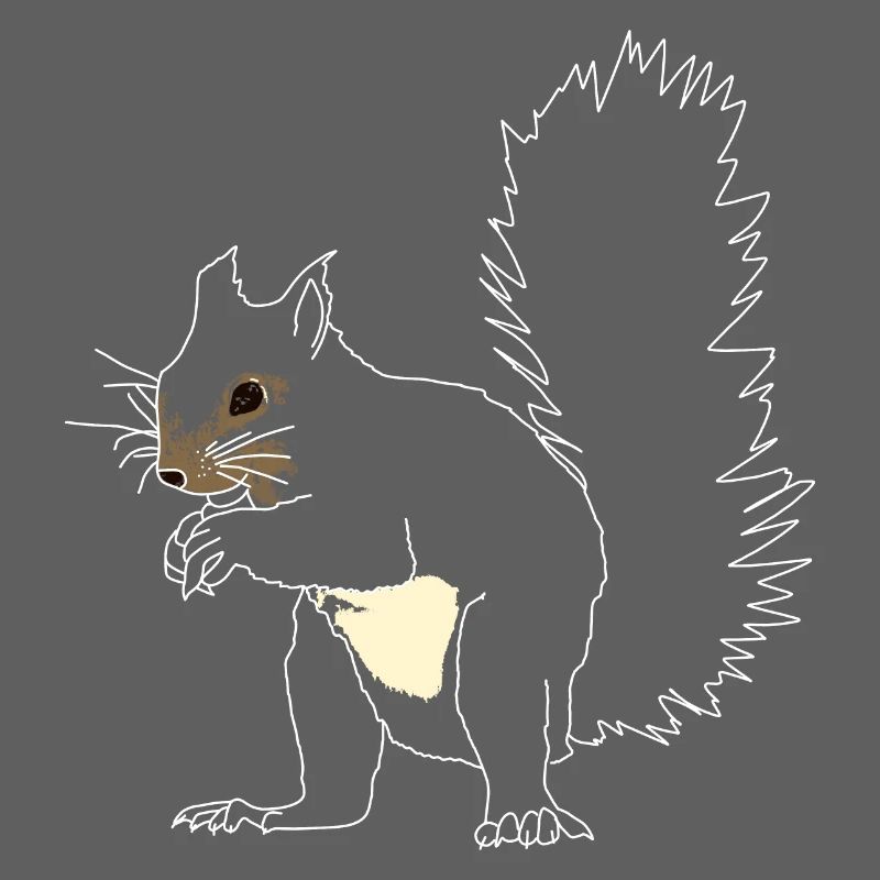Squirrel lineart