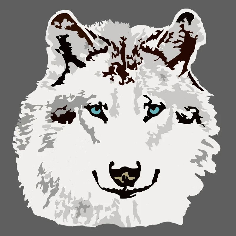 White wolf blue eyes