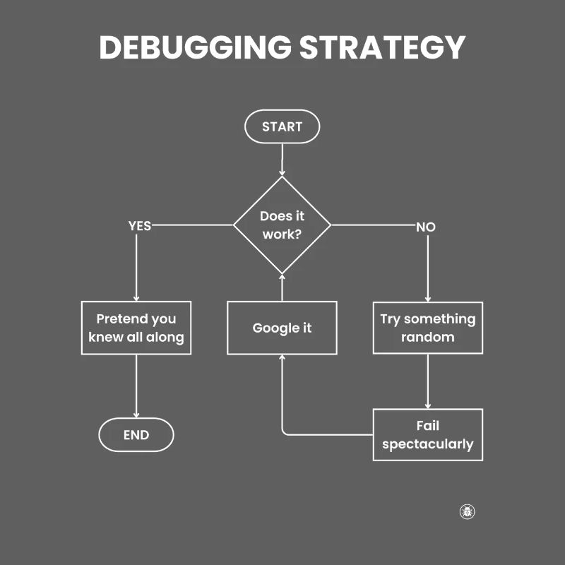 Debugging Strategy Flowchart - Does It Work Gift