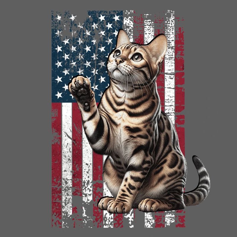 Bengal Cat US Bengalkatze