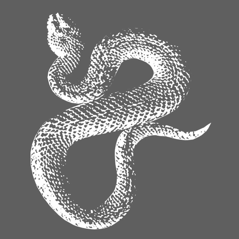 Serpent 3.1