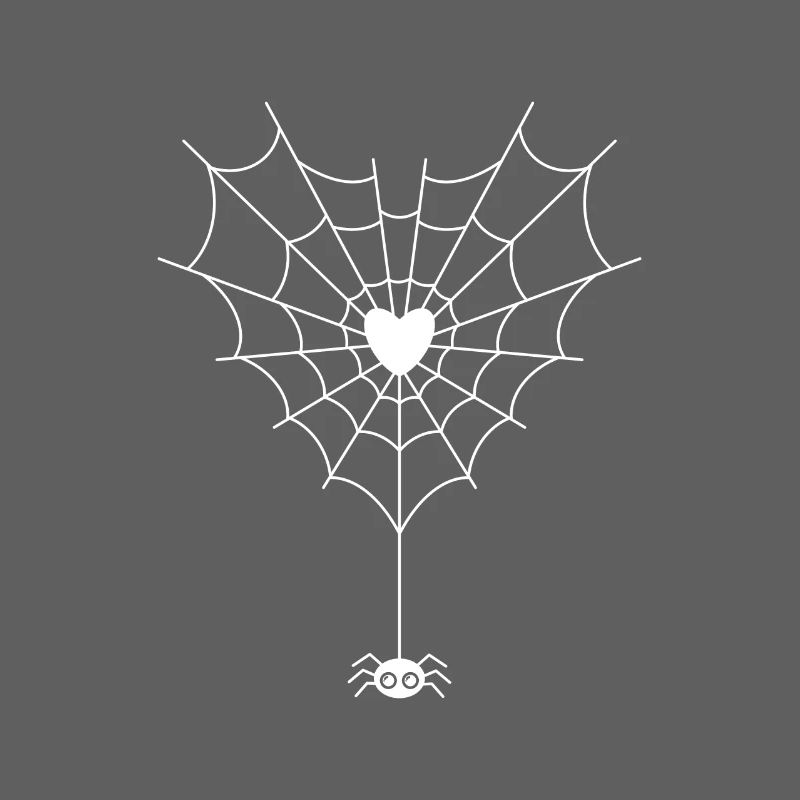 Spider in spider web