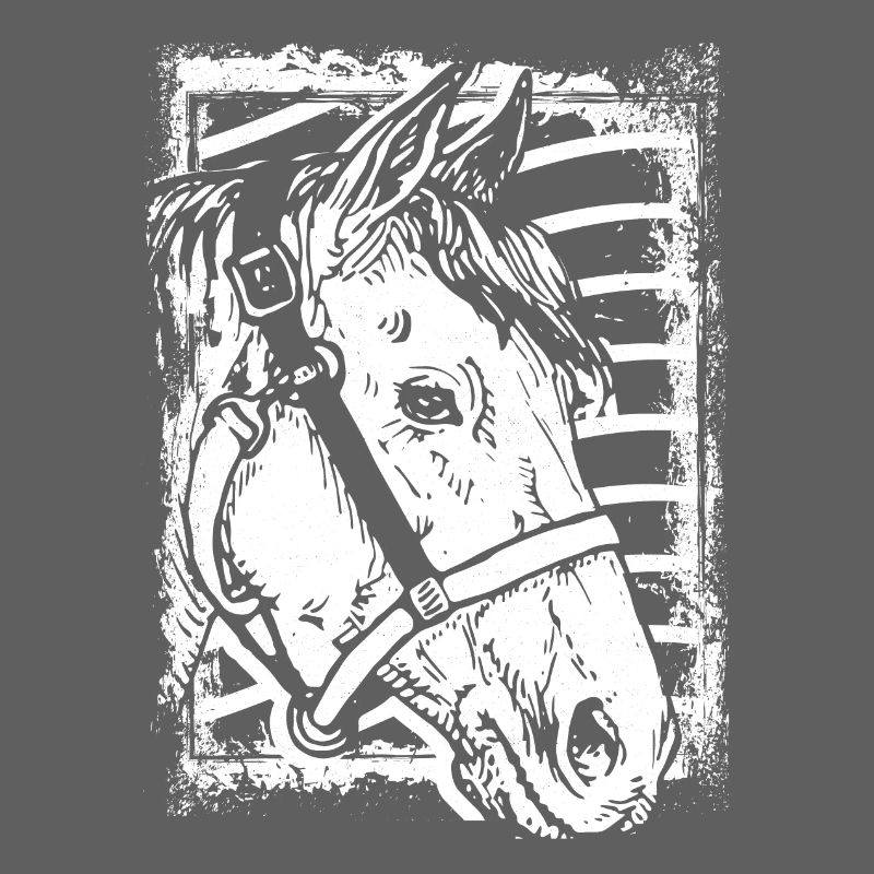 Reiten - Reiter - Pferd - Pferdekopf