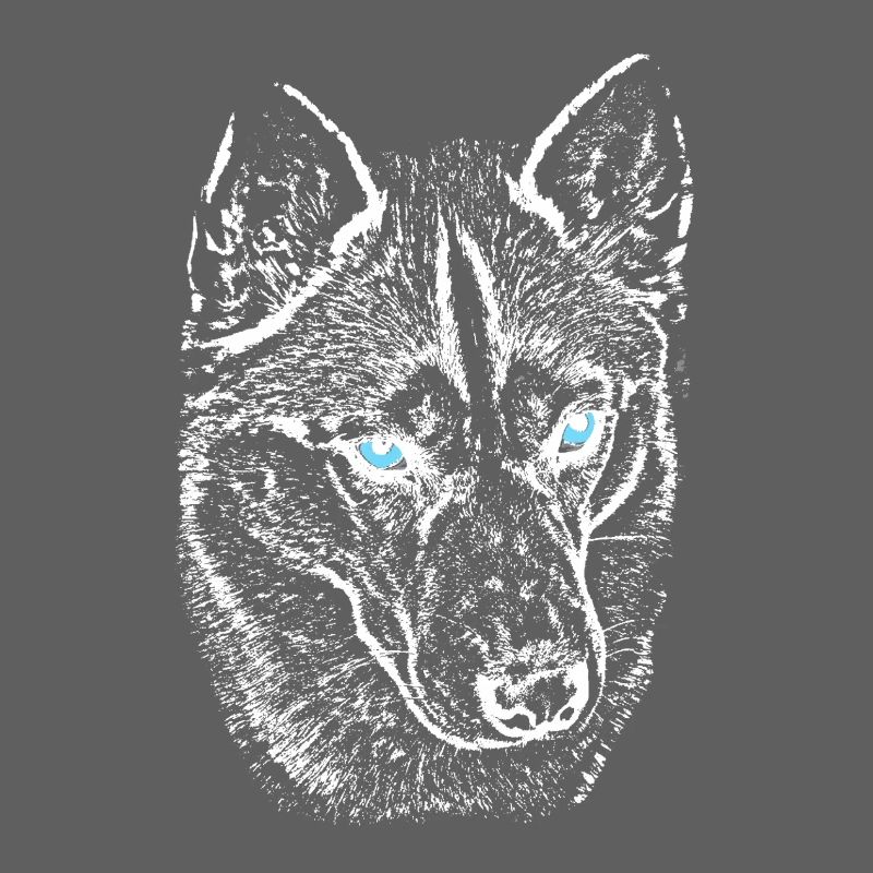 Wolf view in night light husky with blue eyes