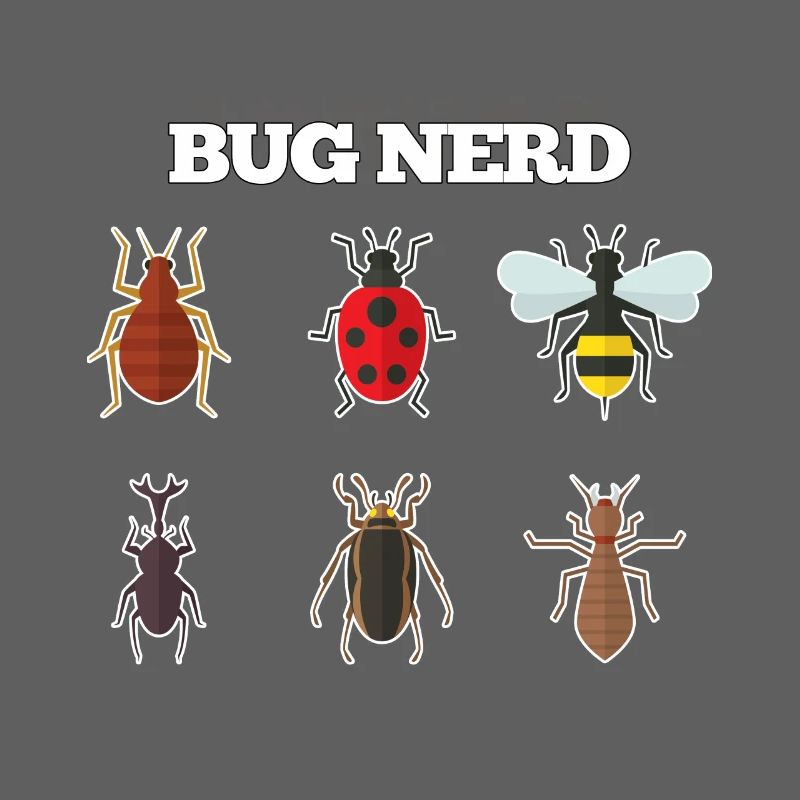 Bug Nerd