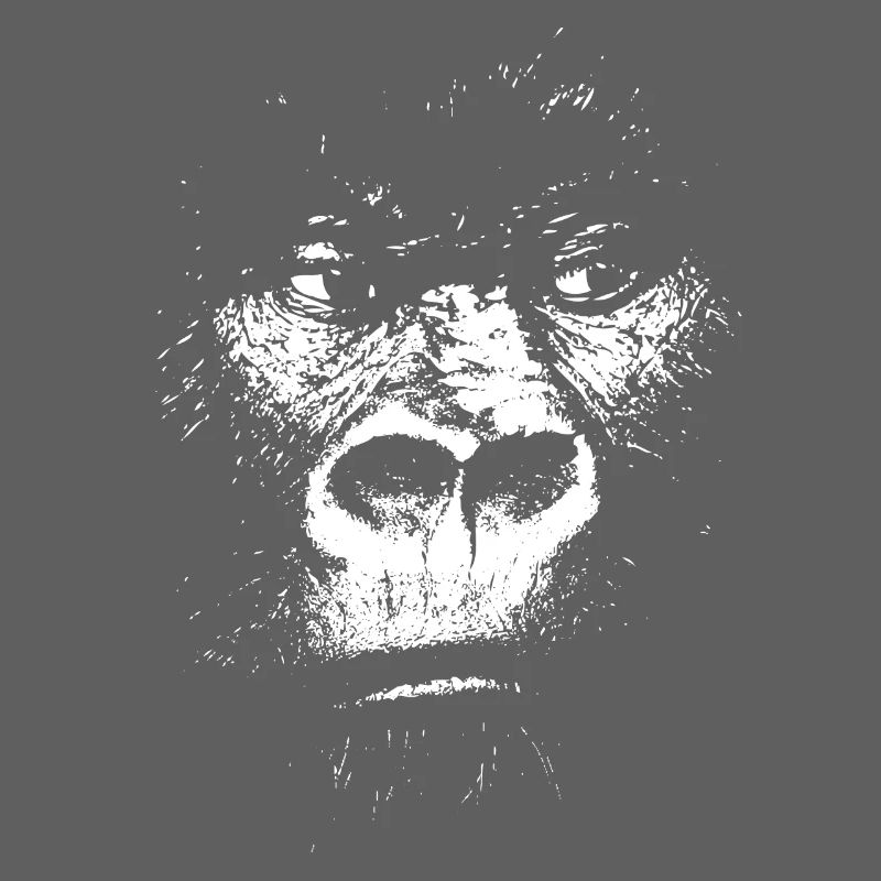Expressionist Monkey Illustration, Gorilla