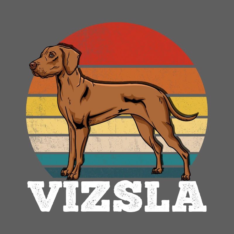 Vizsla Retro