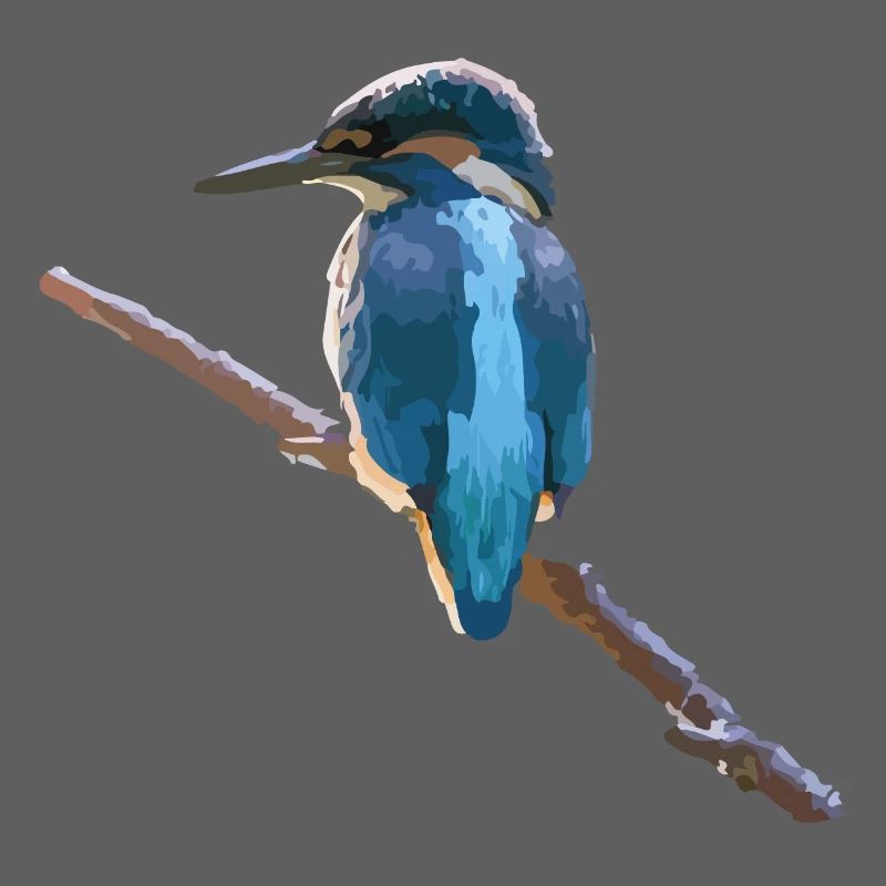 Eisvogel
