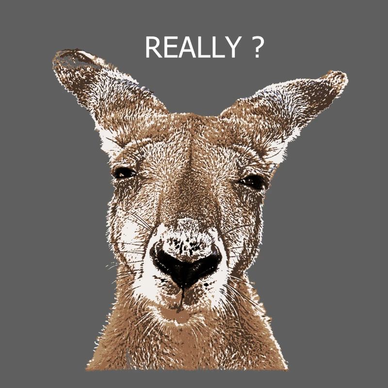 Kangaroo really
