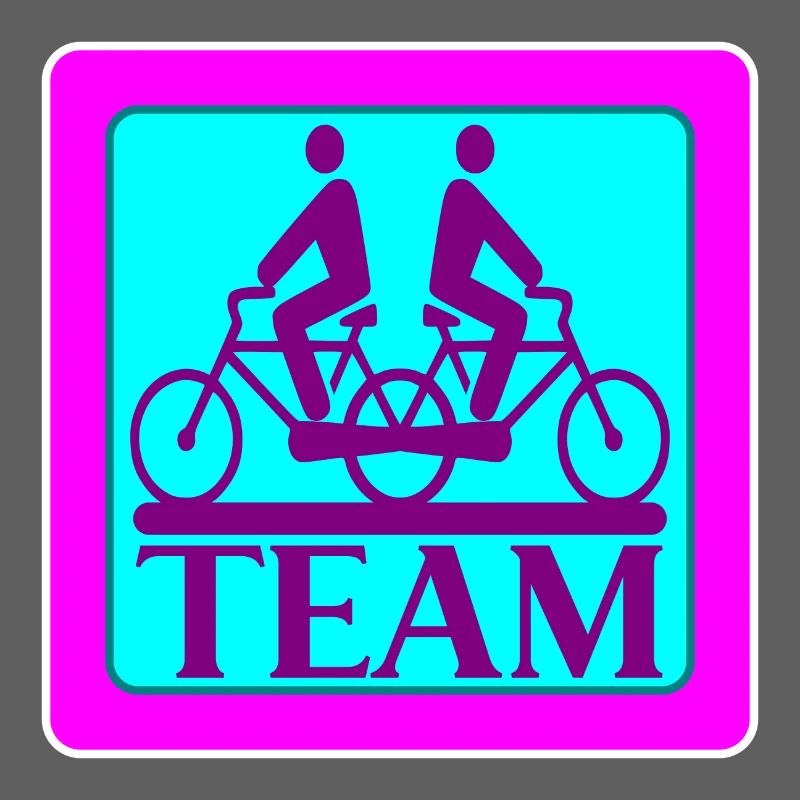 TEAM PROBLEMS - BICYCLE - STRATEGY