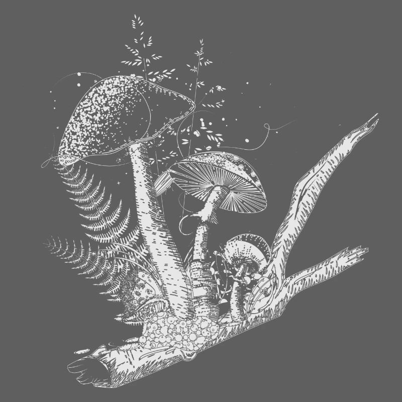 composition dessinée champignons forestiers, graminées et branches