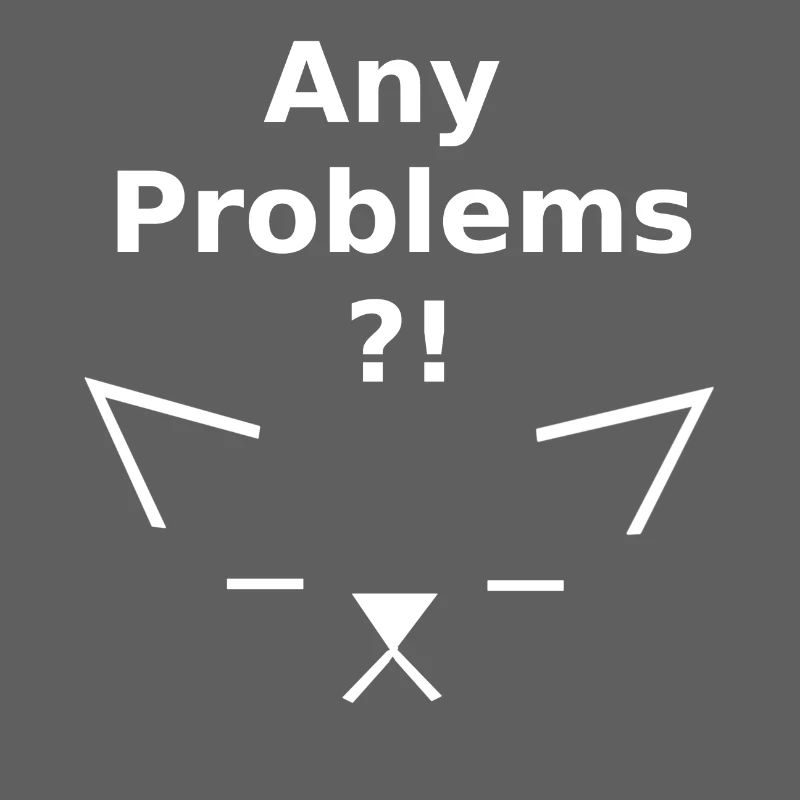 Any Problems, lustige Tees