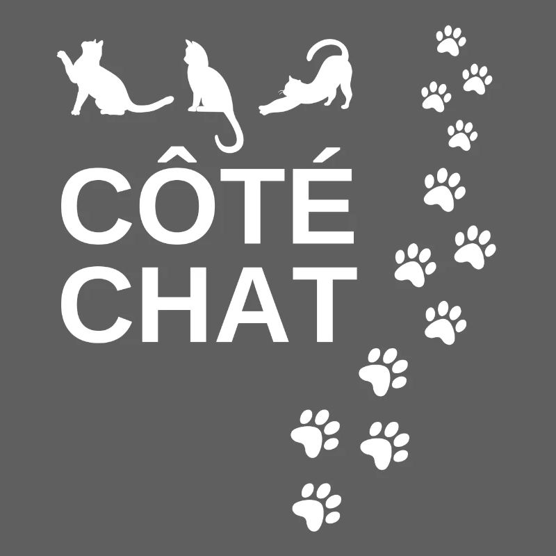 chat, amoureux des chat, côté chat