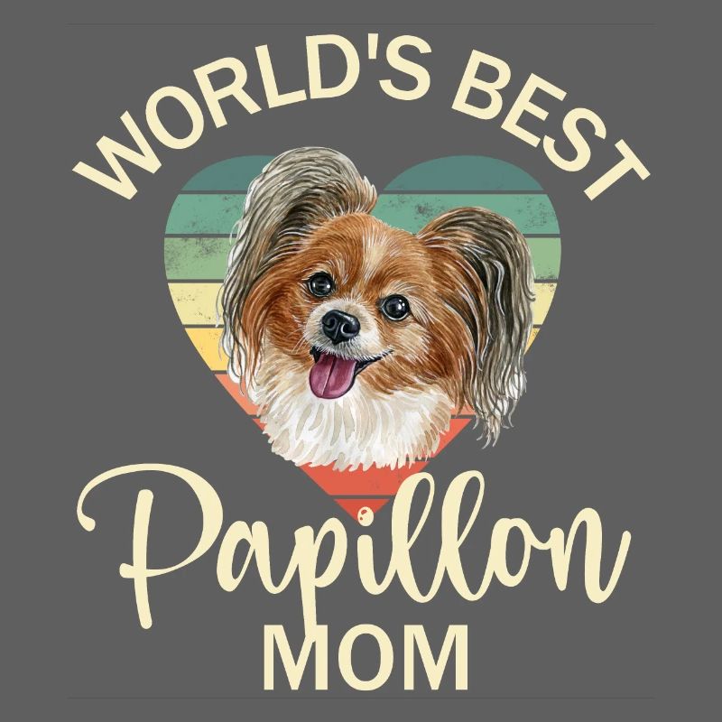 Dog Papillon Dwarf Spaniel