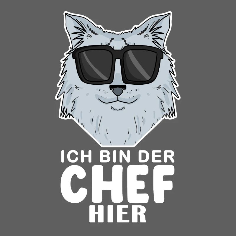 coole Katze - Sibirische Katze - Chef Spruch