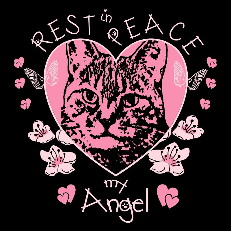 Katzen Engel