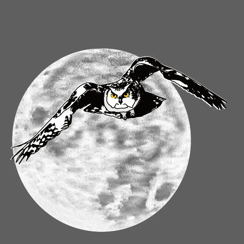 Hibou devant la lune