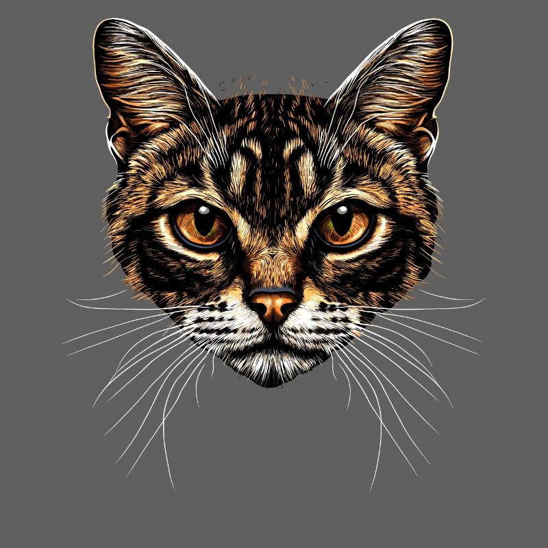 Chat Bengal Chat Léopard Chat Leopardette Chats Bengale