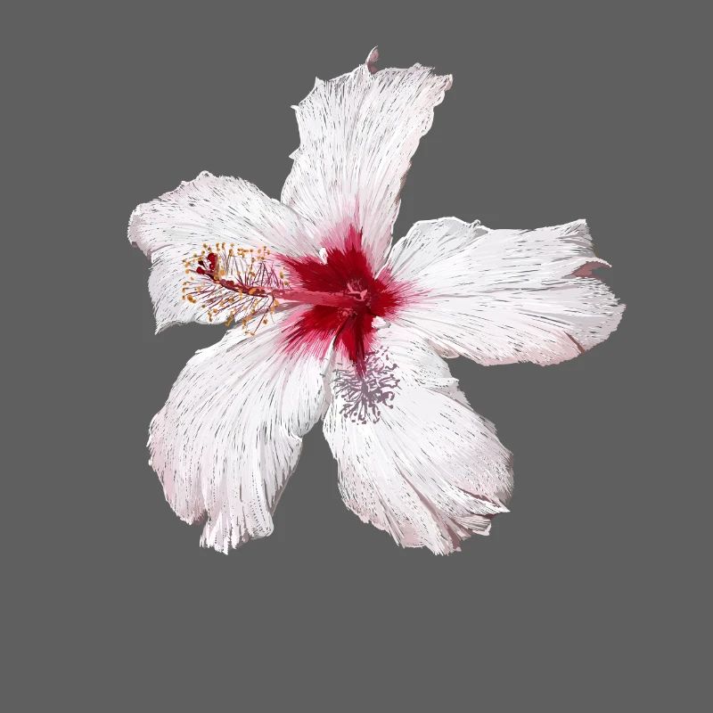 Blume