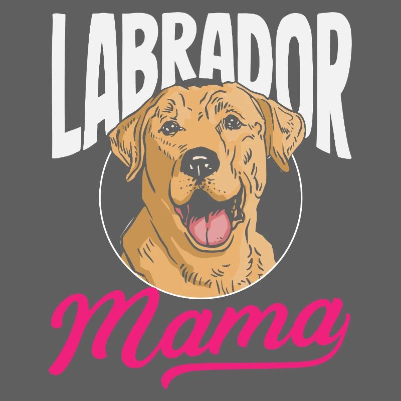 Labrador Tricks
