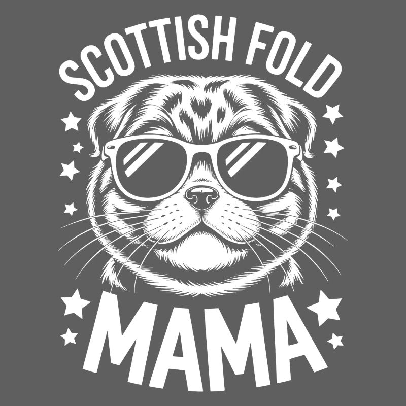 Scottish Folding Cats Scottish Fold Gift