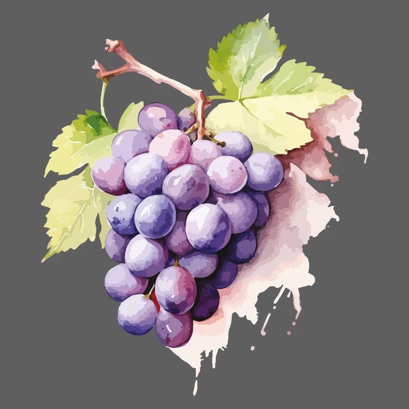 Grappe d’aquarelle de raisins