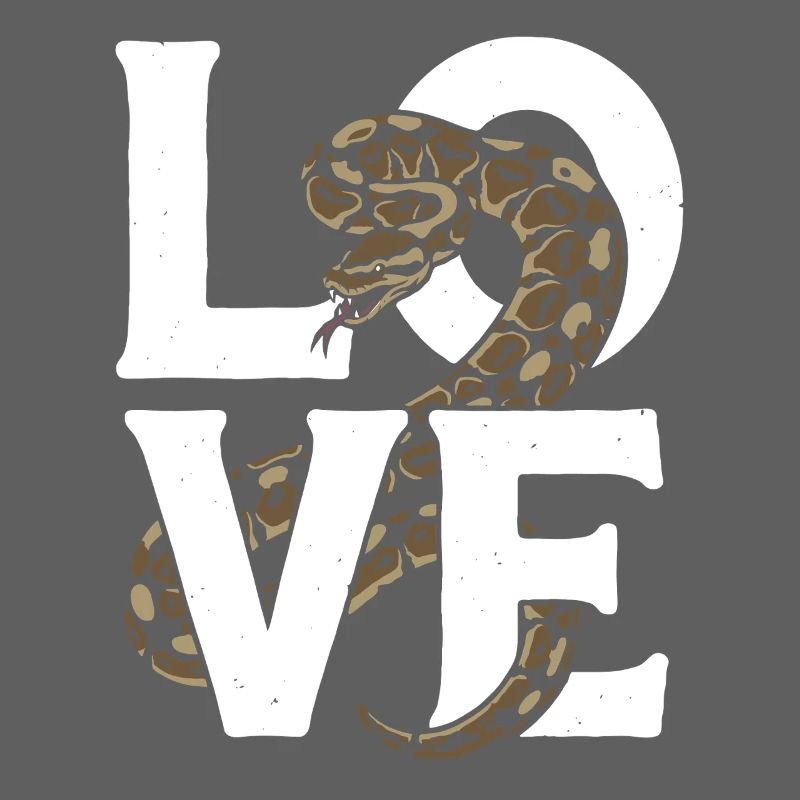 Königspython Schlangen LOVE Terrarium Python