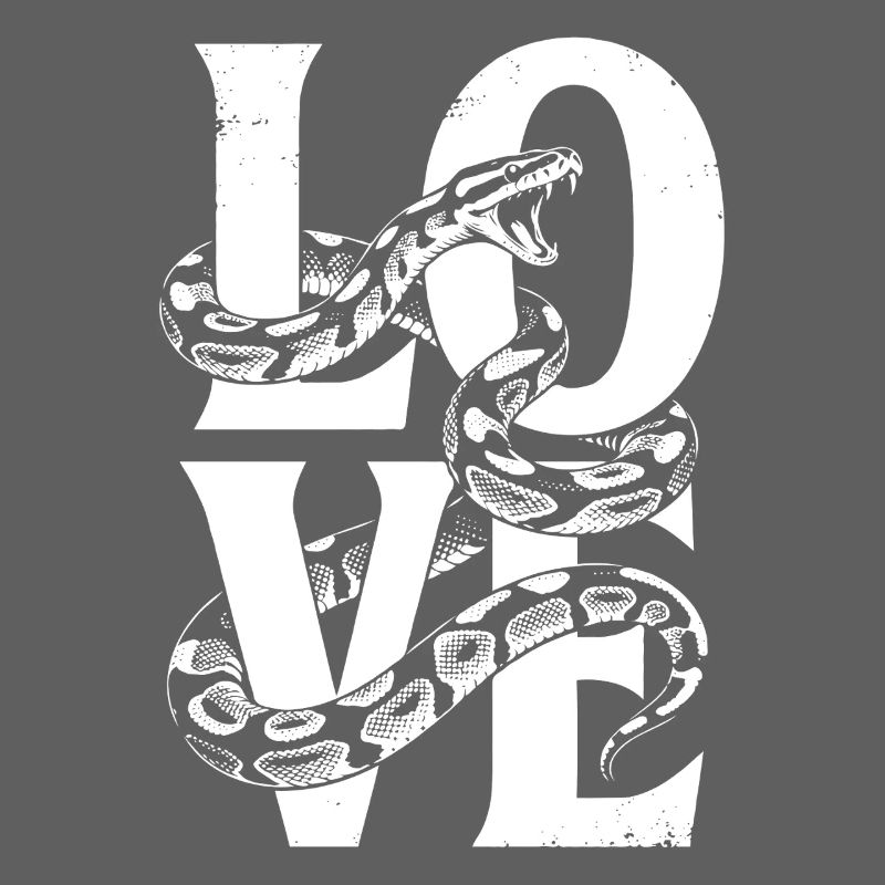 Les serpents rois Python ADORENT les pythons de terrarium