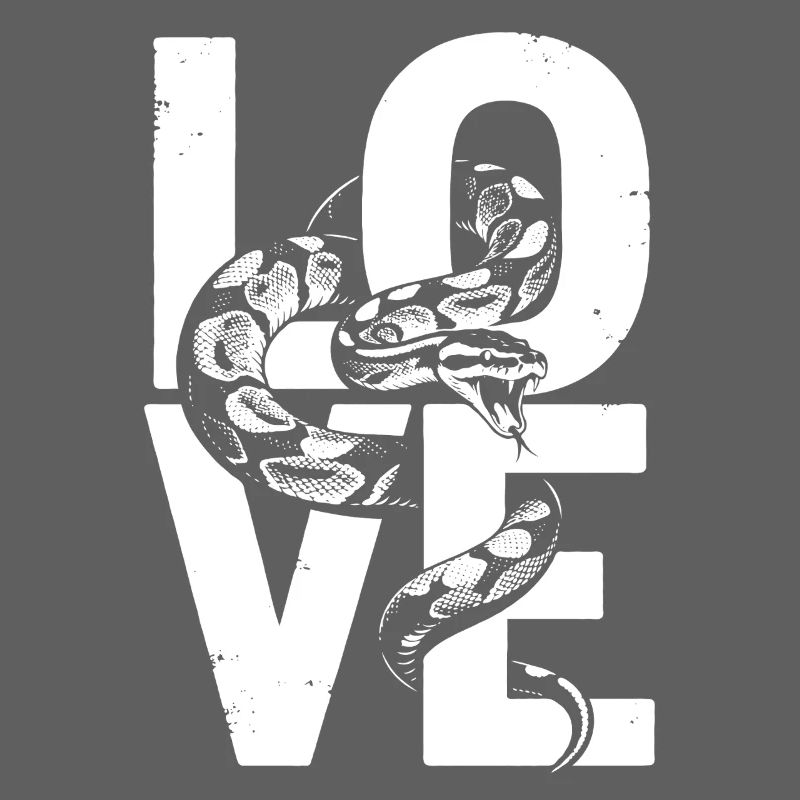 Les serpents rois Python ADORENT les pythons de terrarium