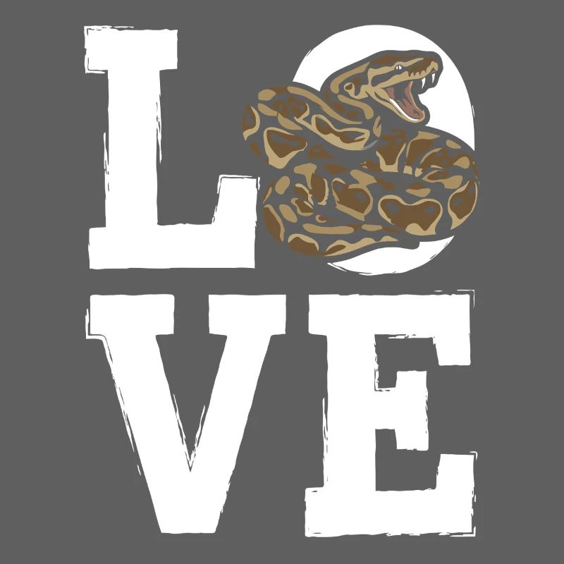 Les serpents rois Python ADORENT les pythons de terrarium