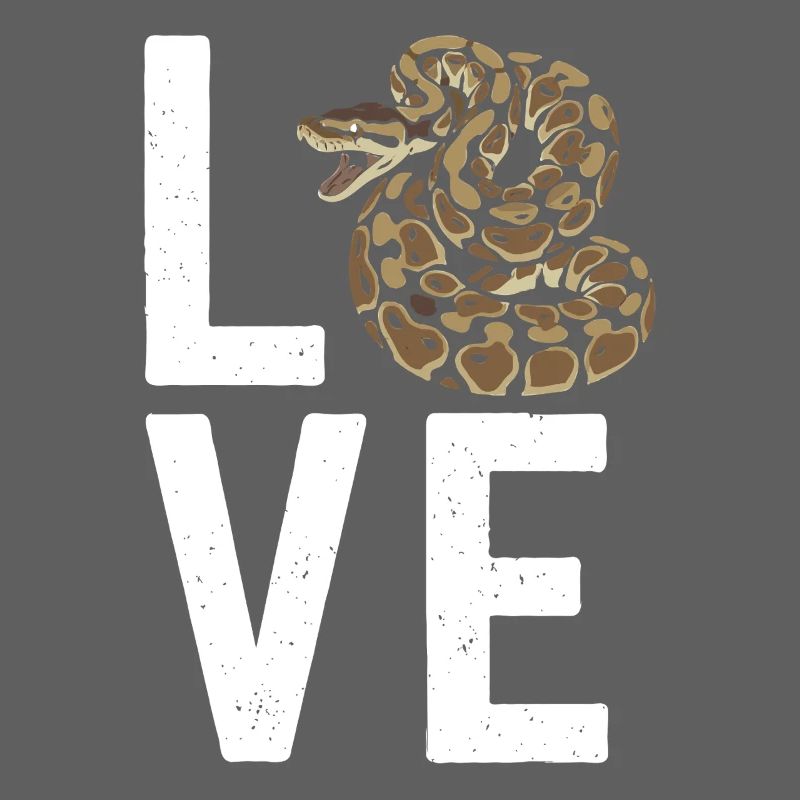 Les serpents rois Python ADORENT les pythons de terrarium