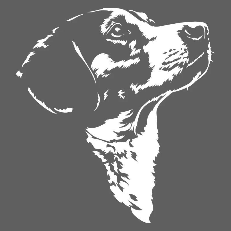 Drever Silhouette Hunde Hund Wilsigns