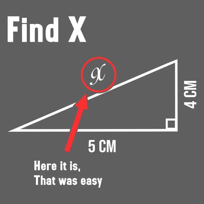 Trouver X Math Lover Mathématicien Professeur de mathématiques