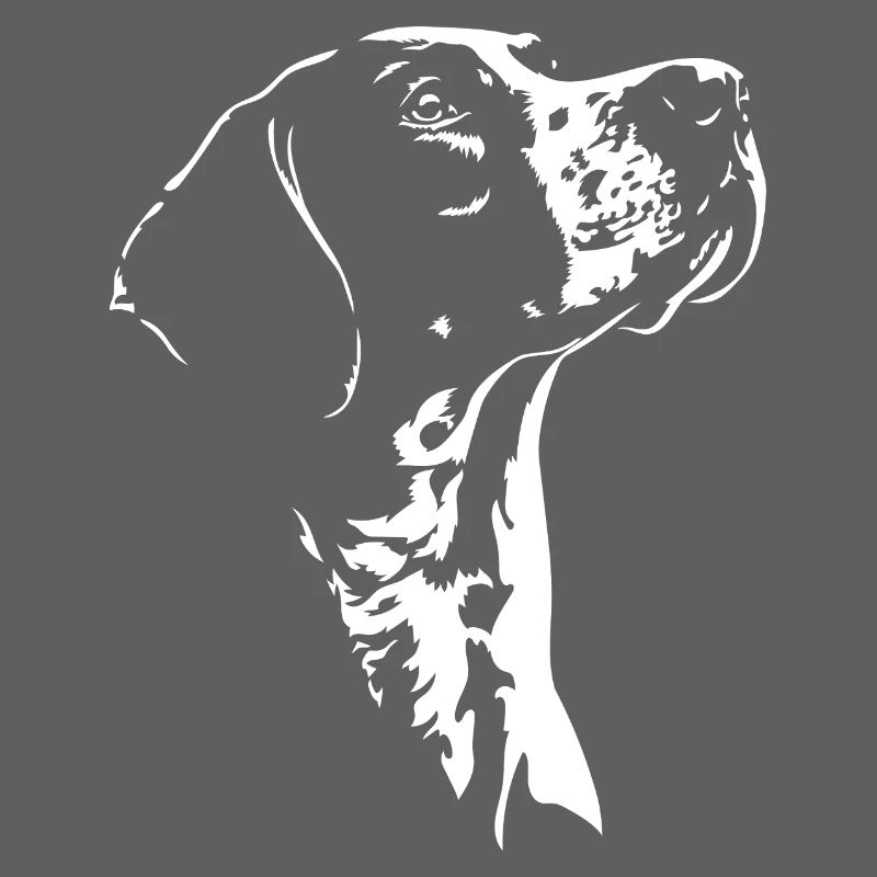 Chiens de chasse à silhouette pointer anglais Wilsigns