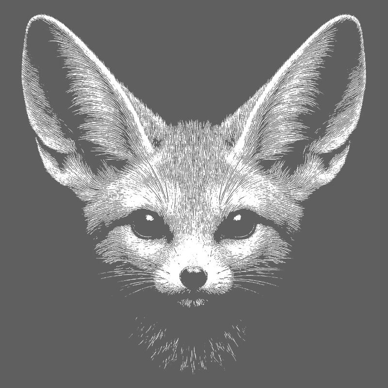 Fennec