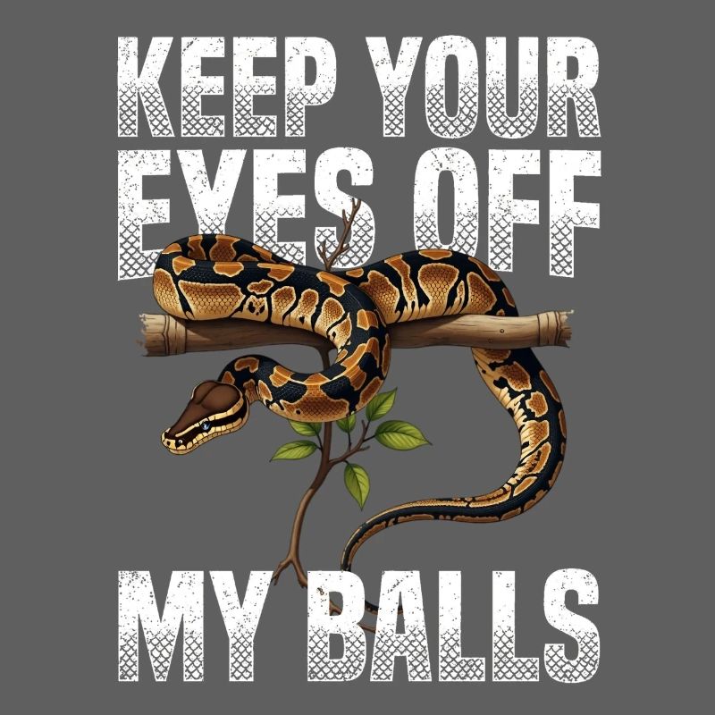 Königspython Schlangen Liebhaber Terrarium Python