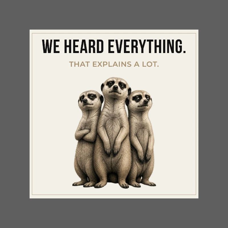 We Heard Everything Meerkat Trio