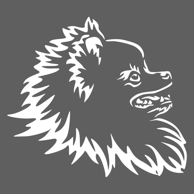 Zwergspitz Kopf "Black Edition"
