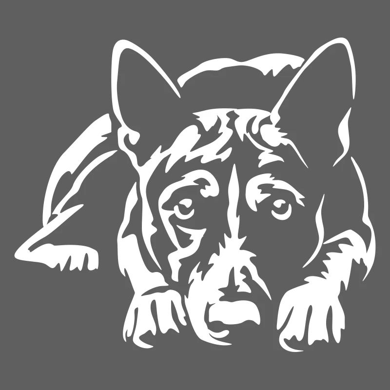 Basenji "Black Edition"