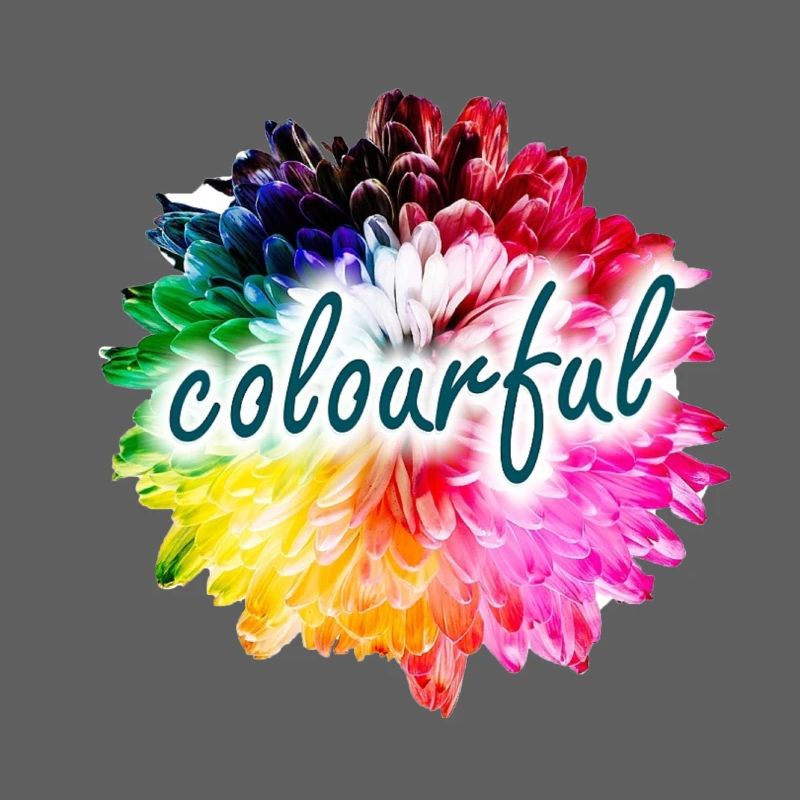 Regenbogenblume Farbexplosion