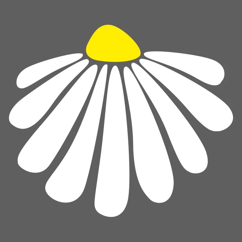 Blume Energie Margarithe Blüte Sommer Natur