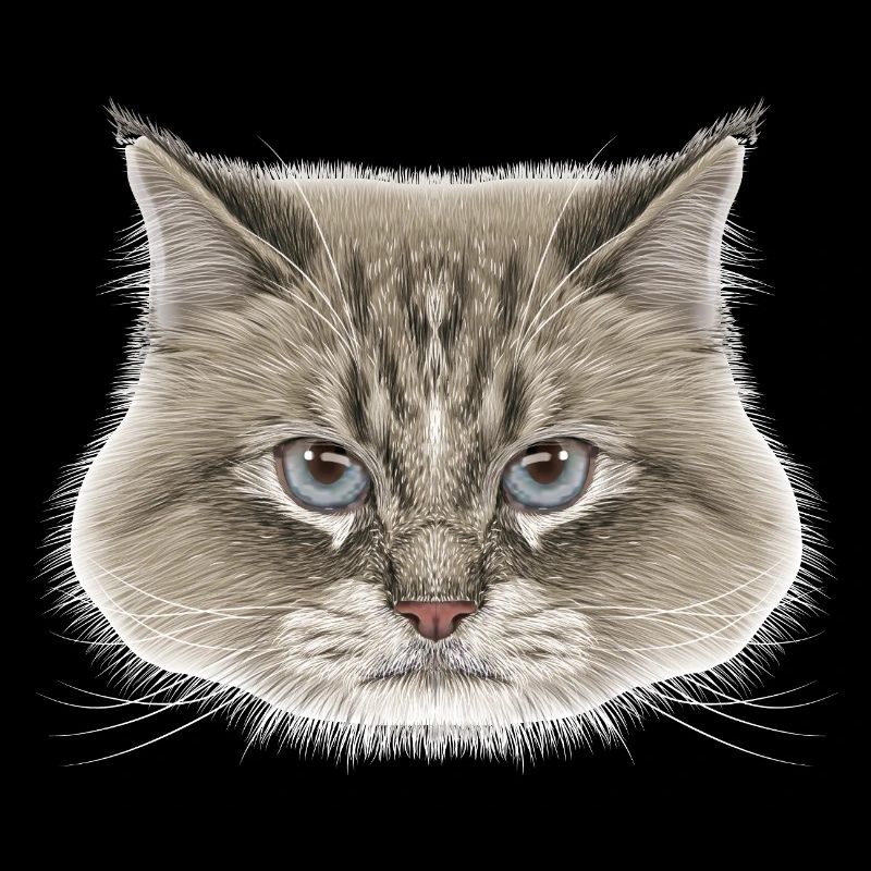 Siberian Cat