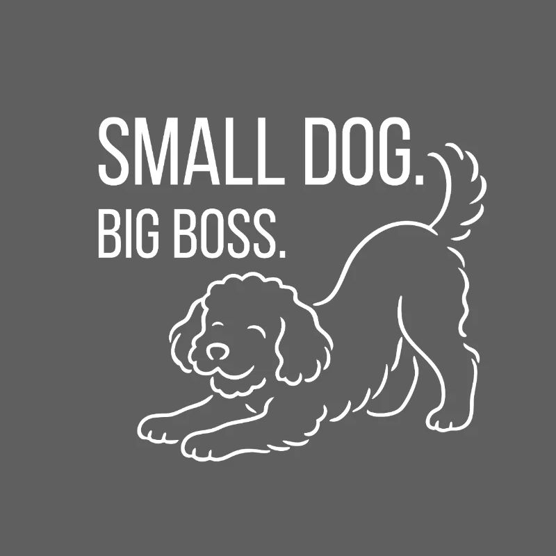 Zwergpudel, Malti-poo oder Königspudel 