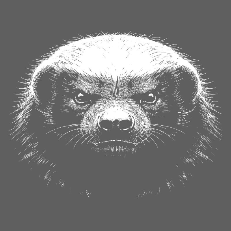 Honey badger
