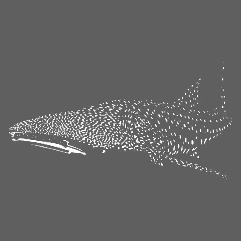 Whale shark