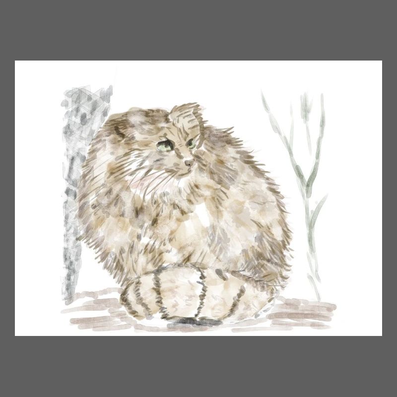 Manul wild cat