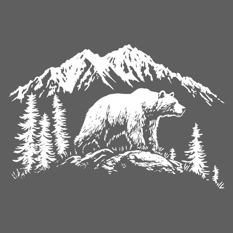 Grizzly Bear Nature Silhouette Mountains Forest