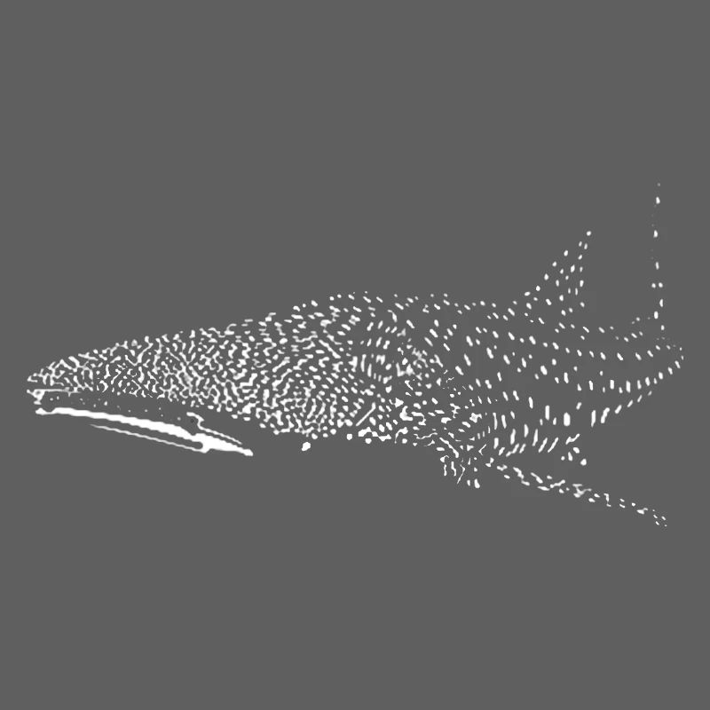 Requin-baleine