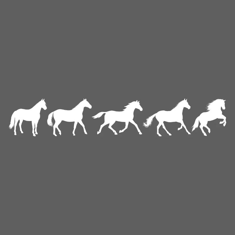 ! Evolution Pferd in Bewegung